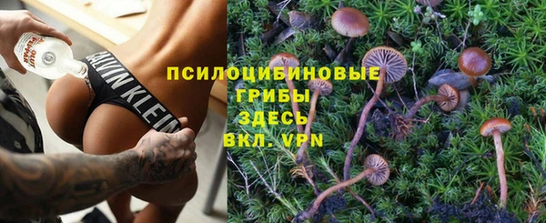 мяу мяу кристалл Гусев