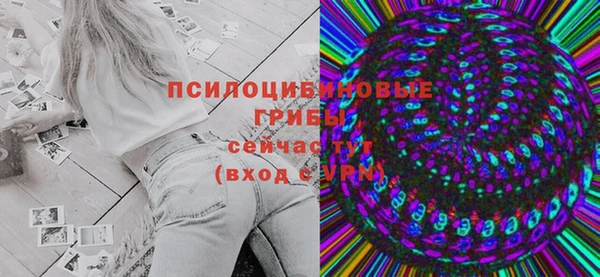 соль ск Гусиноозёрск