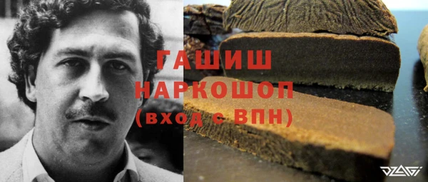 соль ск Гусиноозёрск
